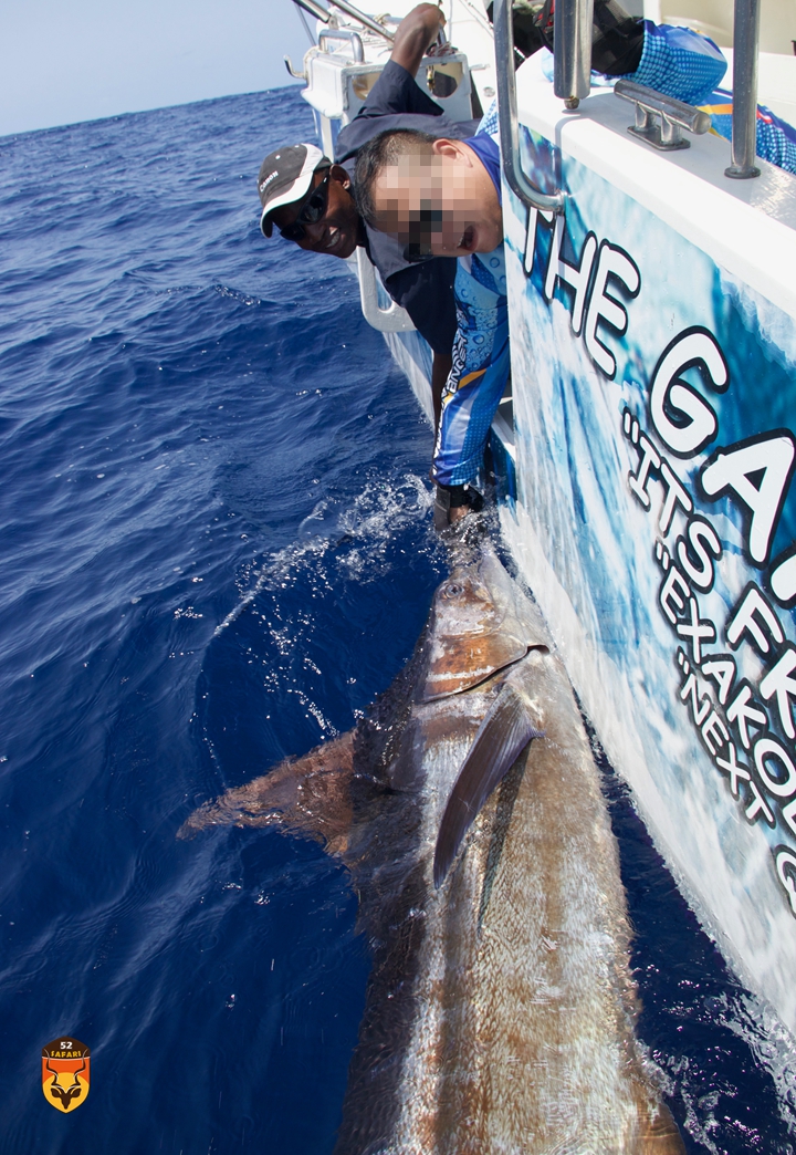 开云在线直播-包含南非代表团实力檀扎，勇夺首位的词条