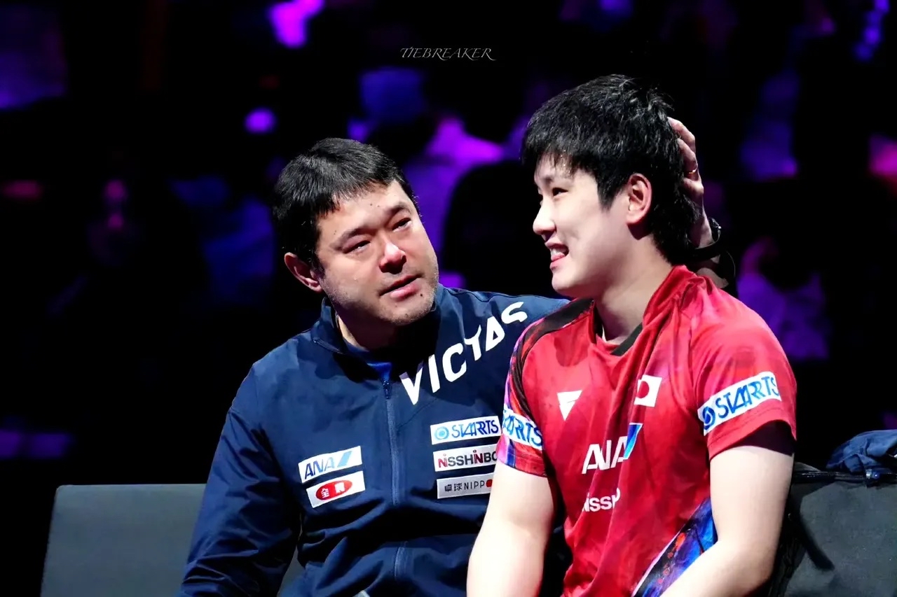 法国队翻盘韩国队,张本智和扛起全队的简单介绍 法国队翻盘韩国队,张本智和扛起全队的简单介绍