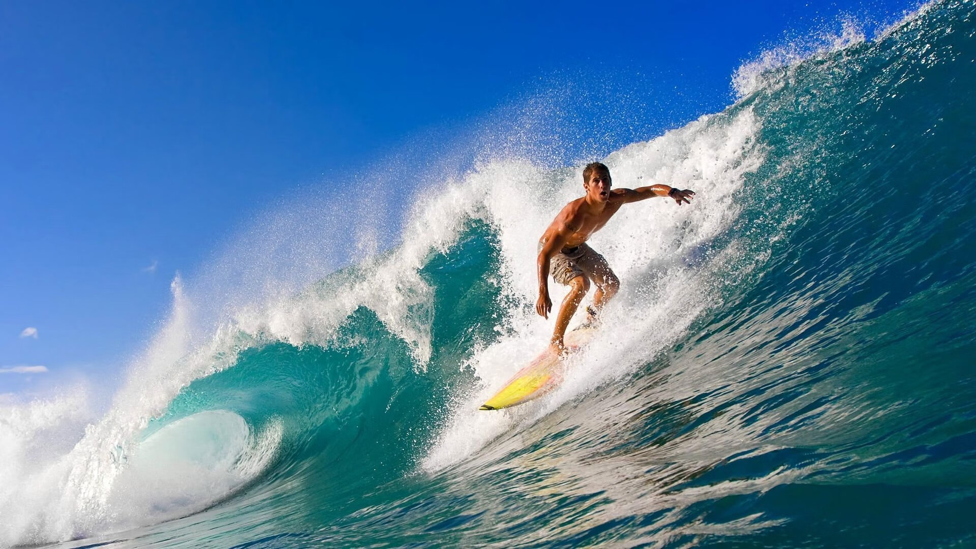 开云体育下载-新王加冕之夜，拉梅洛·鲍尔在总决赛舞台上演统治级传奇